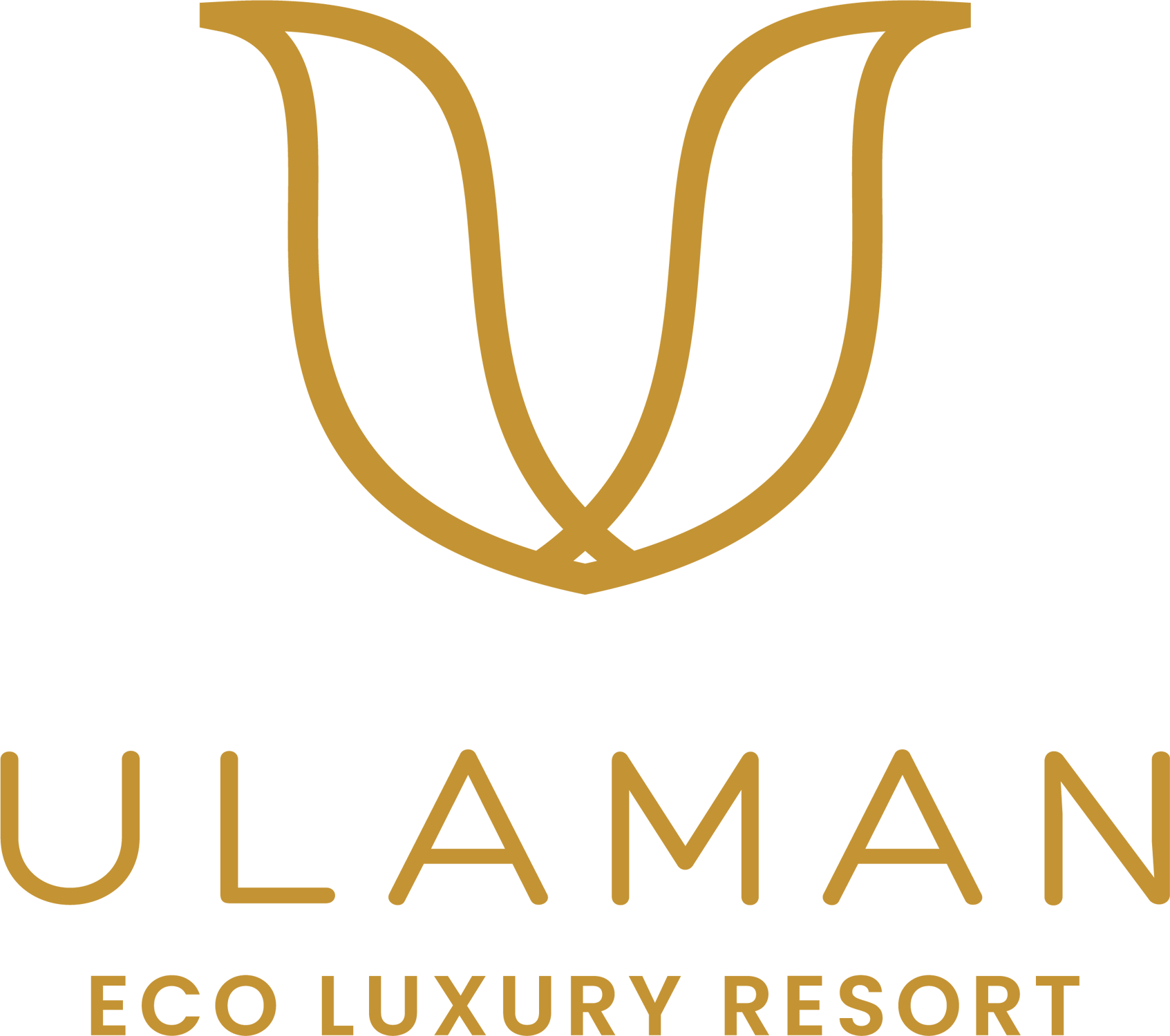 Ulaman Purchase Log